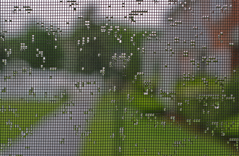 Security wiring woven into a window alarm screen